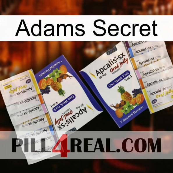 Adams Secret 12.jpg